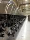 Forno cont�nuo 72 m Ariete